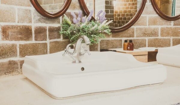 Sink with a Plant